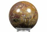 Colorful Polished Petrified Palm Root Sphere - Indonesia #311712-1